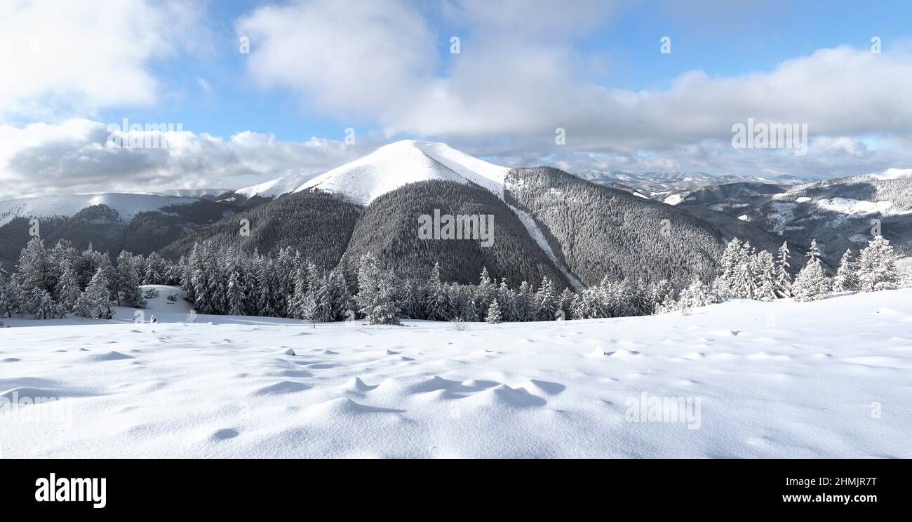 A panoramic view of high mountain with snow white peak. Landscape on winter day. Forest. Lawn covered with snow. Evergreen trees in the snowdrifts. Ch Stock Photo