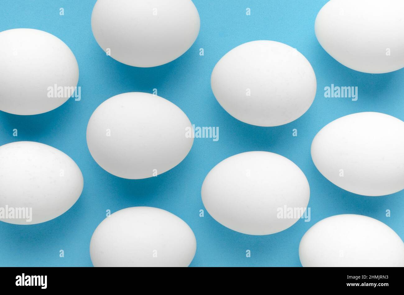 White chicken eggs on blue background.Close up Stock Photo