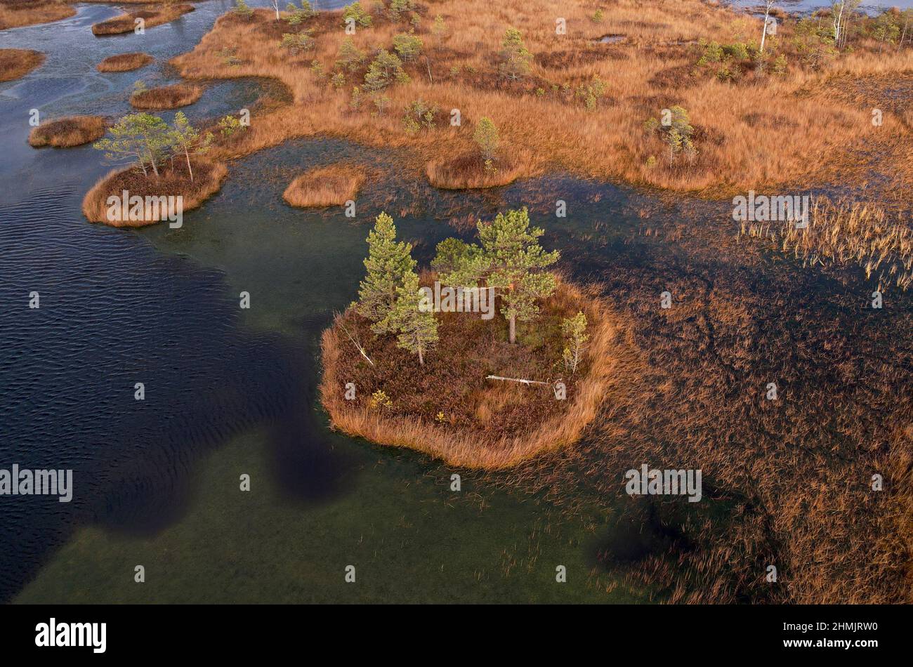 Swamp gases hires stock photography and images Alamy