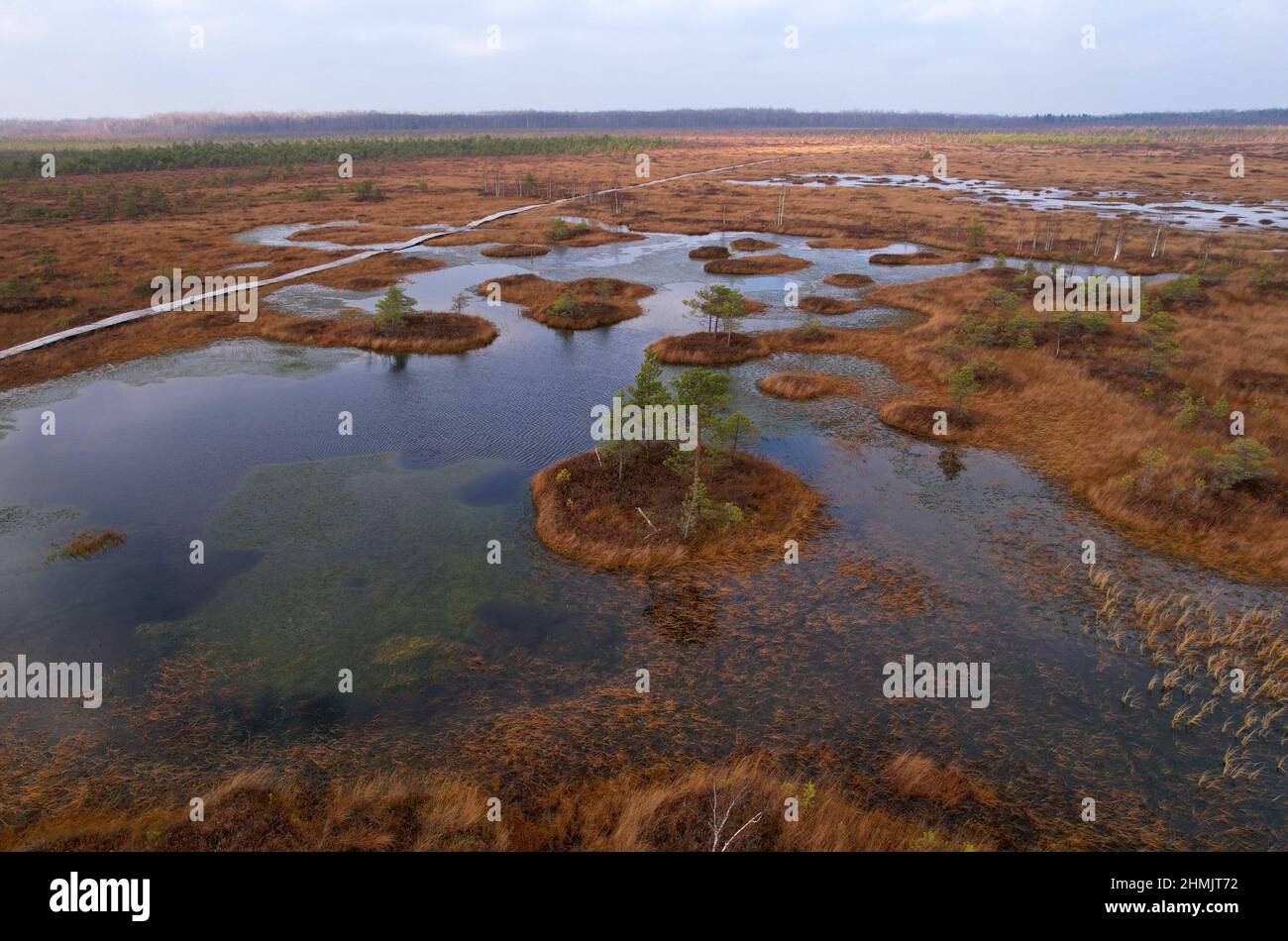 Swamp gases hires stock photography and images Alamy