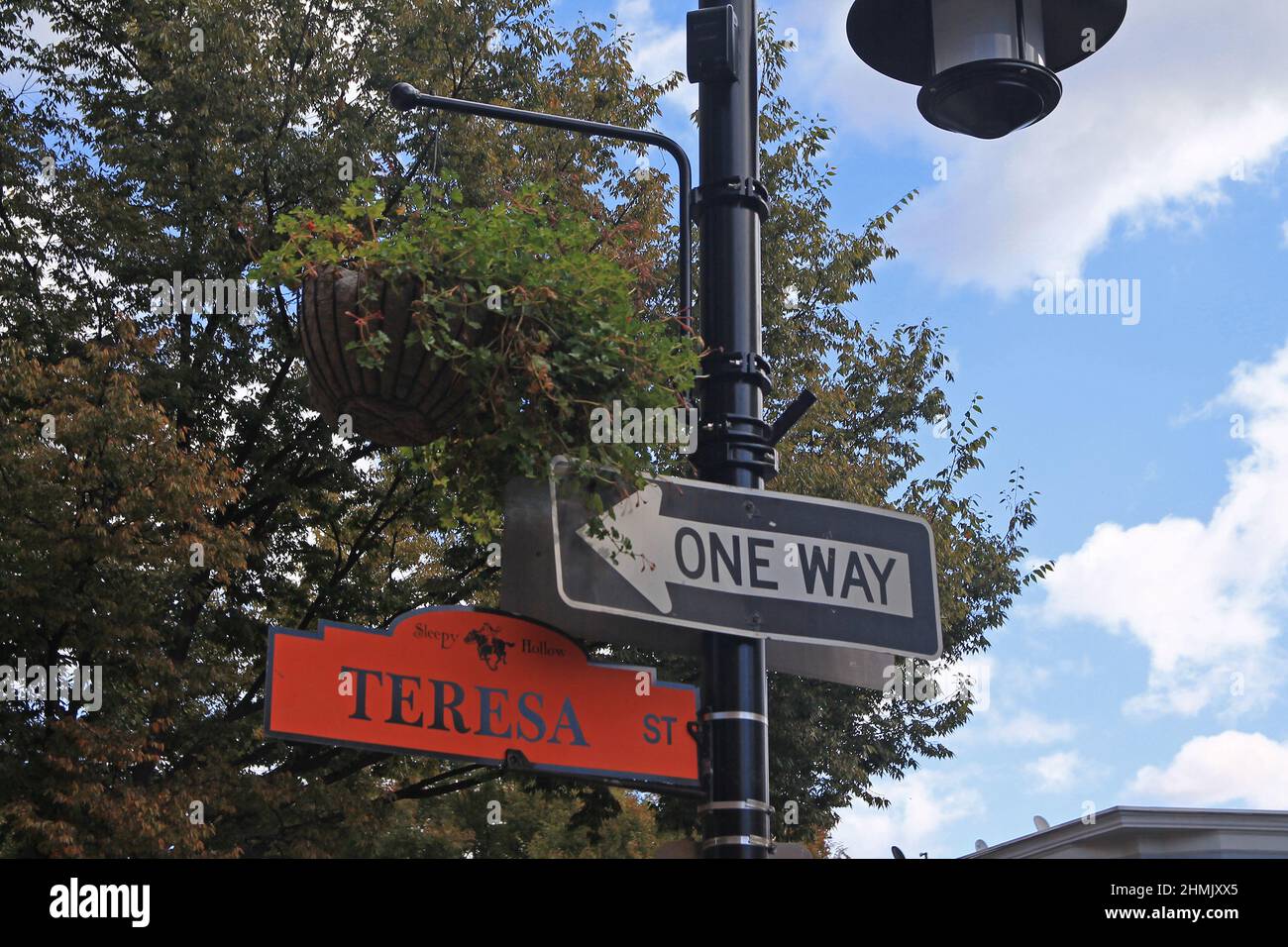 One way sign and orange Teresa Street sign hanging on a black pole in Sleepy Hollow in the New York State Stock Photo