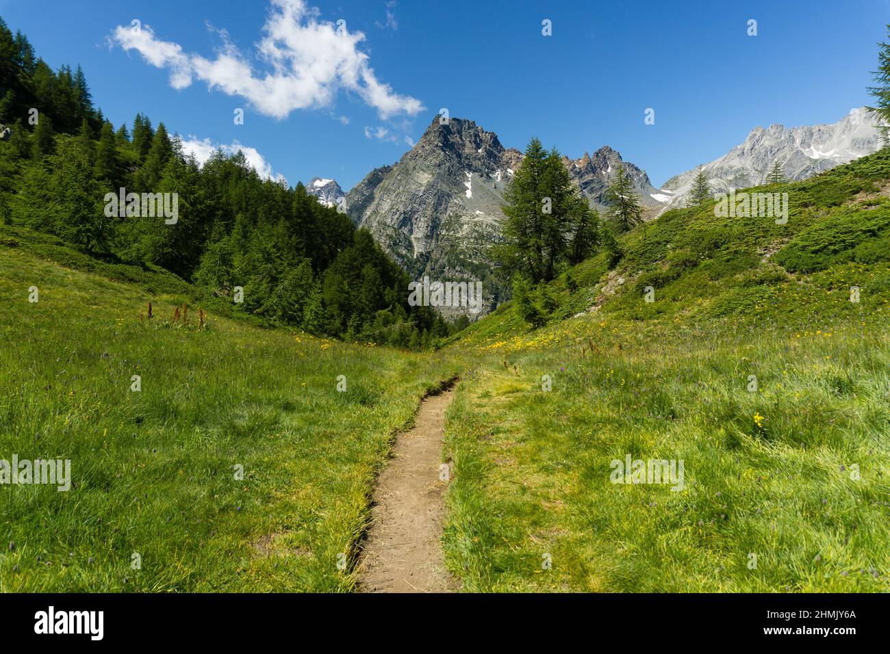 A green nature landscape in the Alps on a fine afternoon in Italy Stock ...