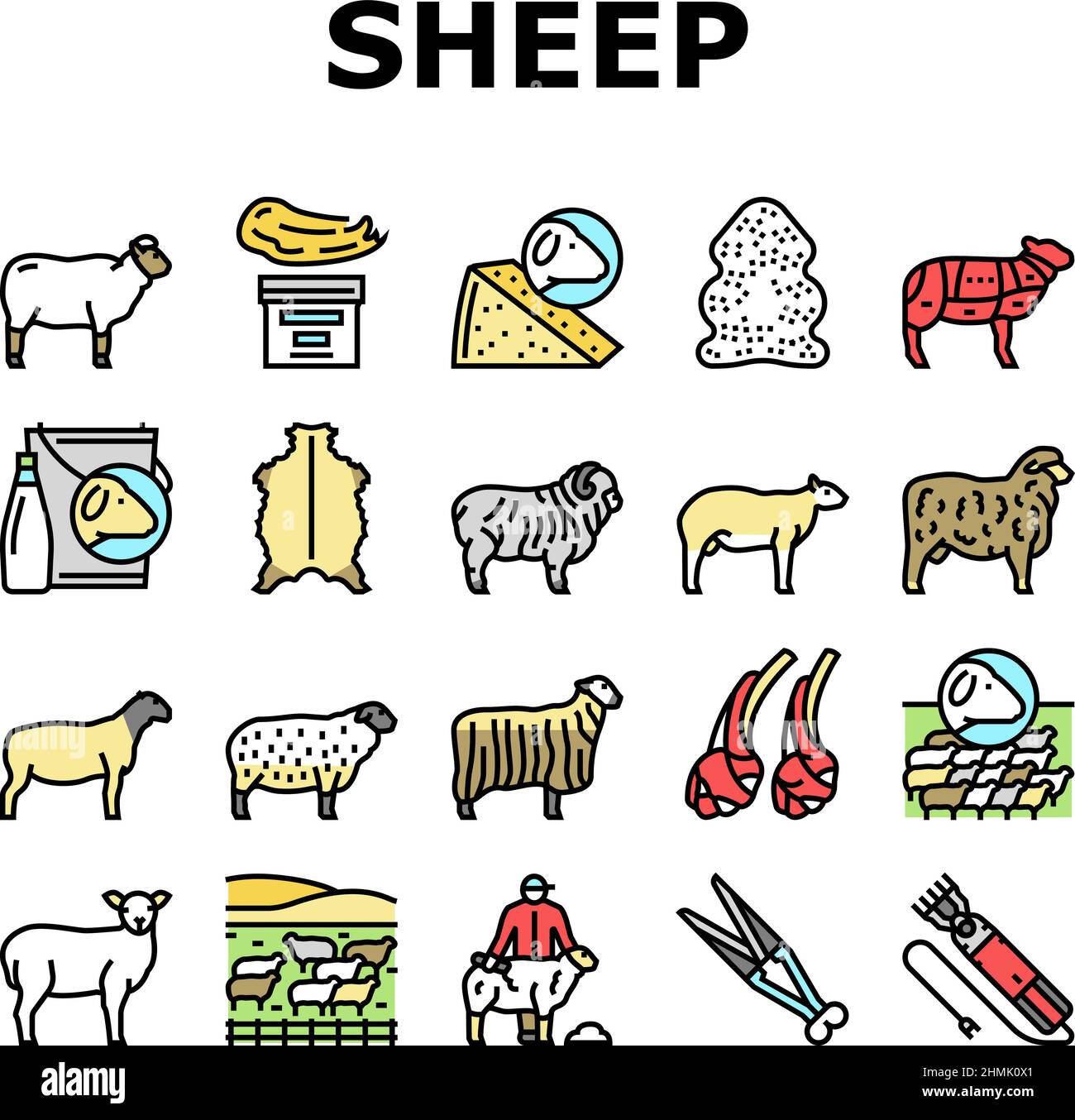 Sheep Products List