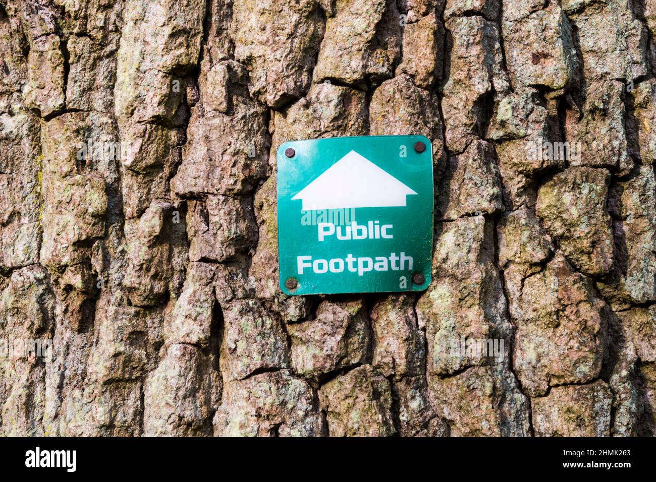 Public Footpath waymarking sign nailed to a tree. Stock Photo