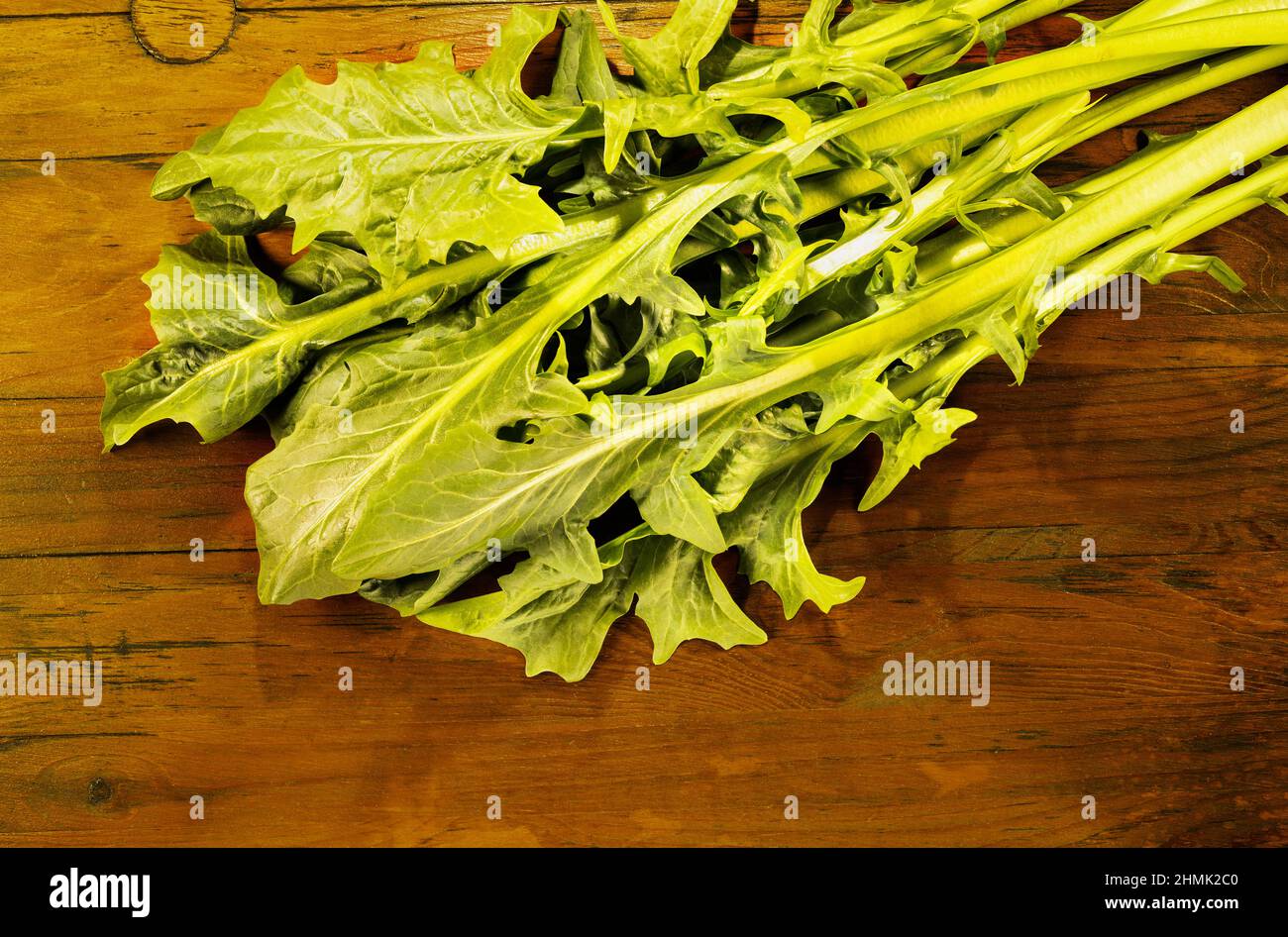 Fresh green leaves of chicory  on  wooden table , long leaves of chicory catalogna Stock Photo