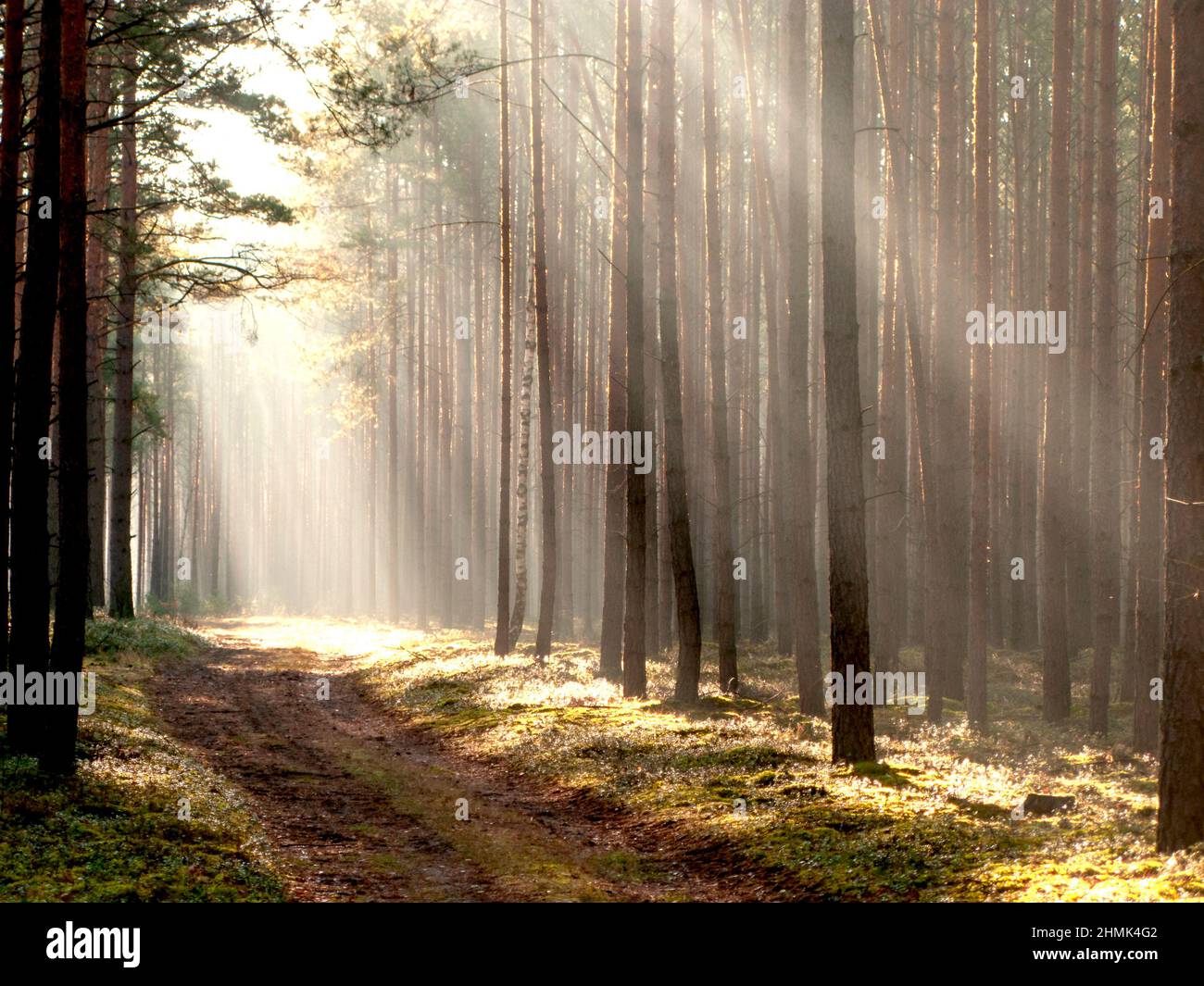 Streaks of water vapor hi-res stock photography and images - Alamy