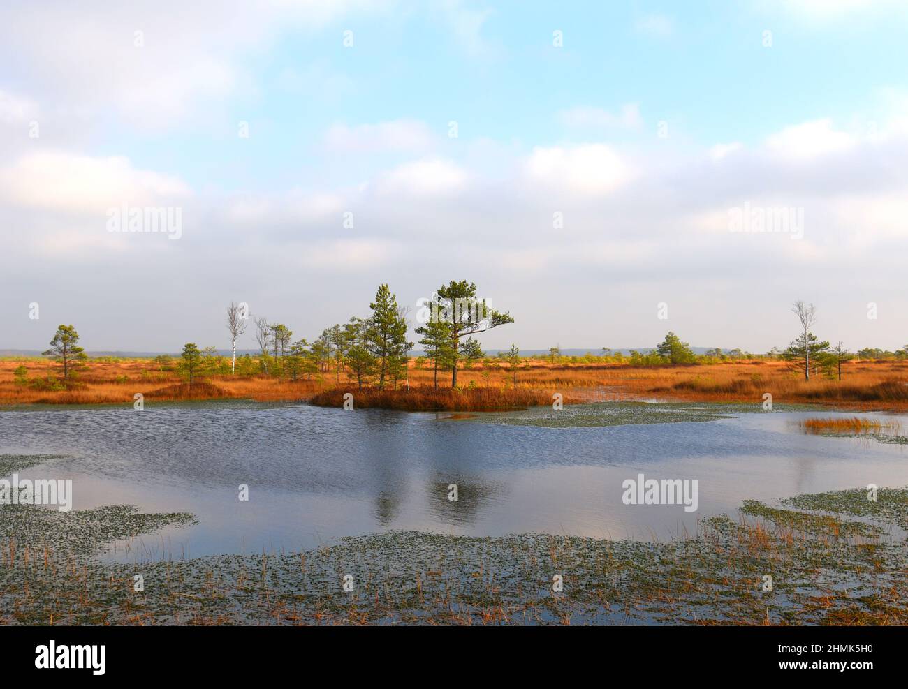 Swamp gases hires stock photography and images Alamy