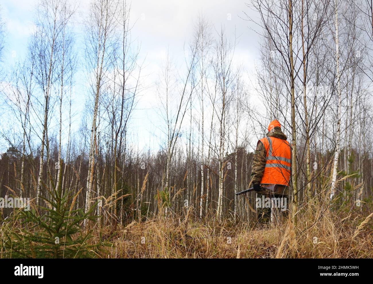 Hunter while hunting wild animals. Hunters with gun and rifle on