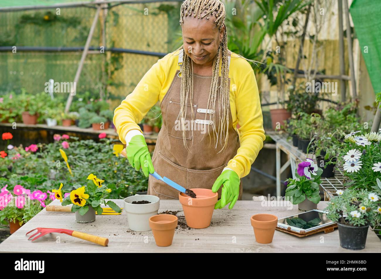 Smiling African-American woman planting flowers in greenhouse Stock ...