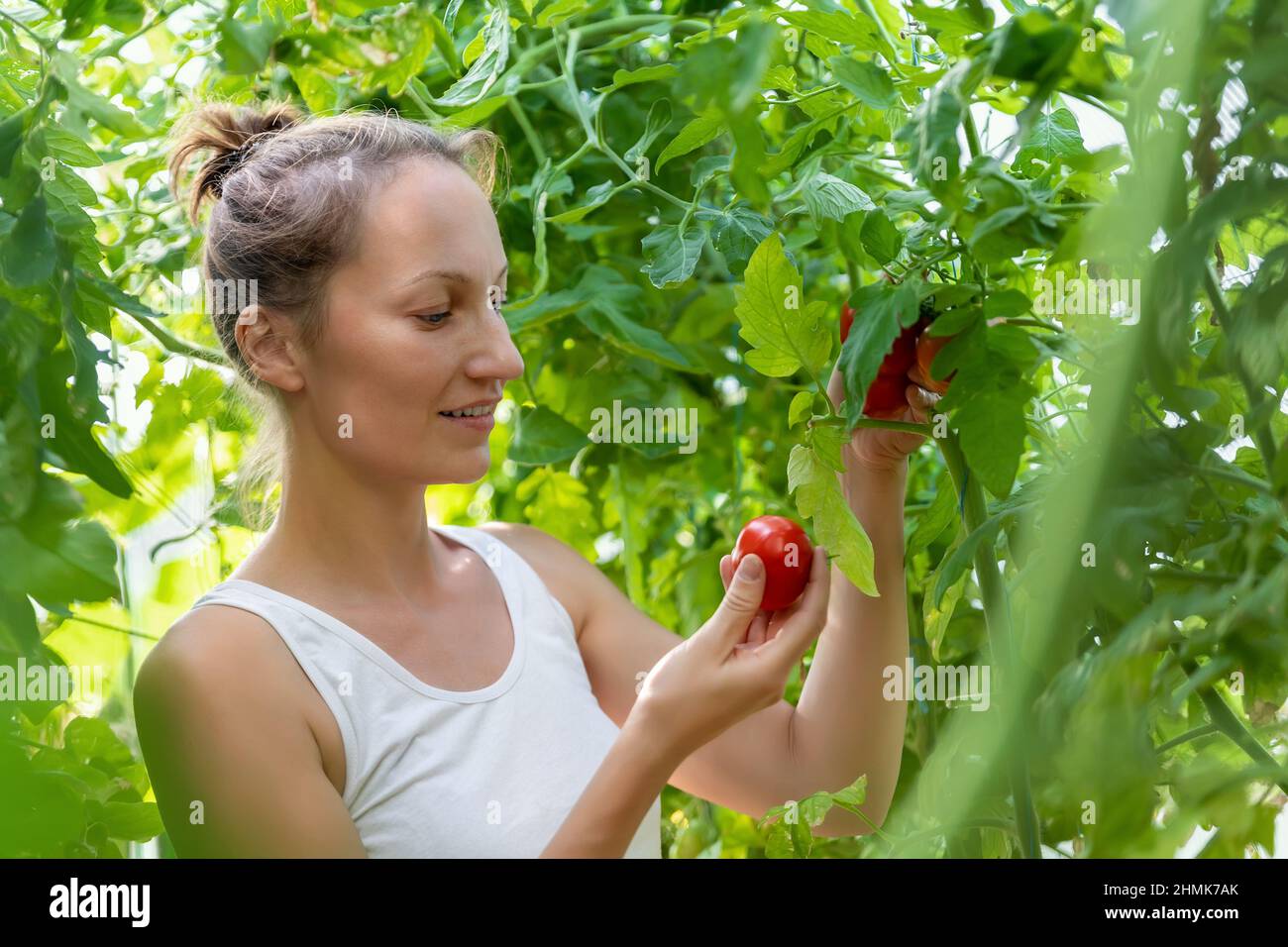 Quiality control hi-res stock photography and images - Alamy