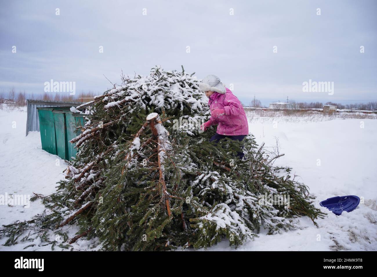 Throw Christmas trees in the trash Stock Photo Alamy