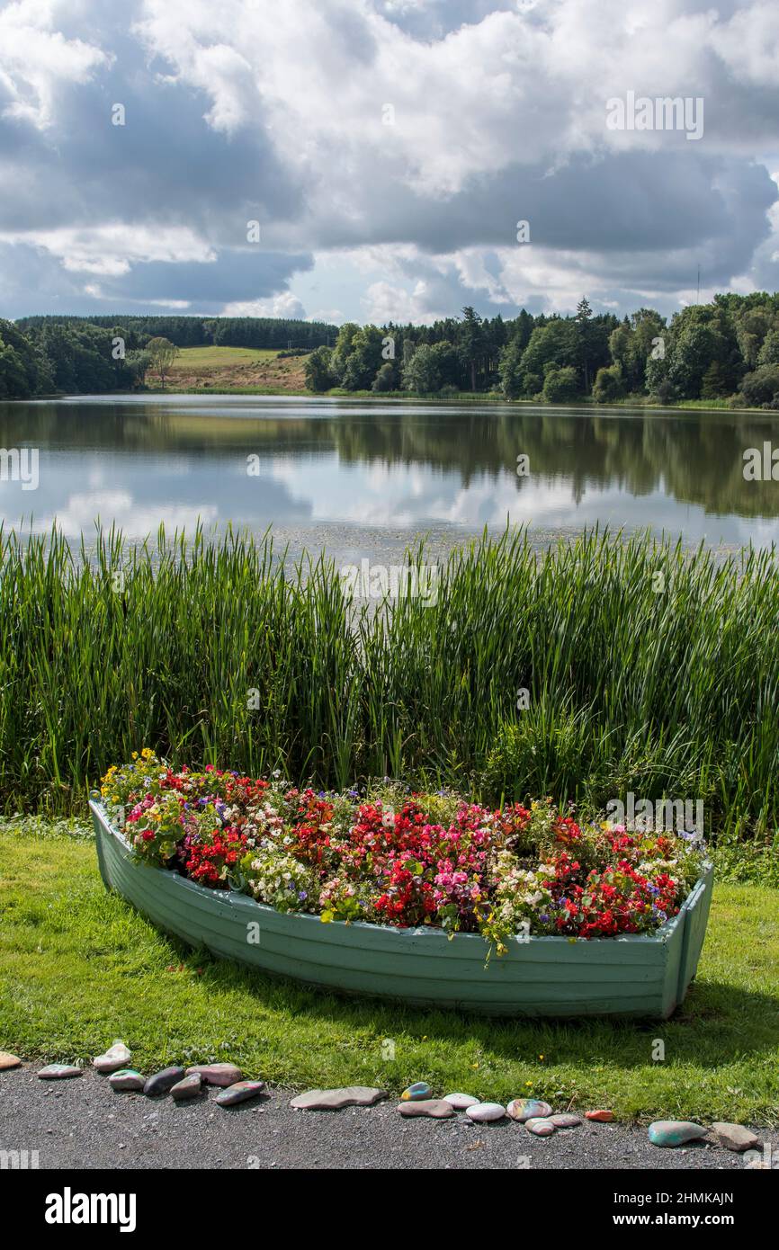Row boat full of flowers, Haining Loch, Selkirk Stock Photo