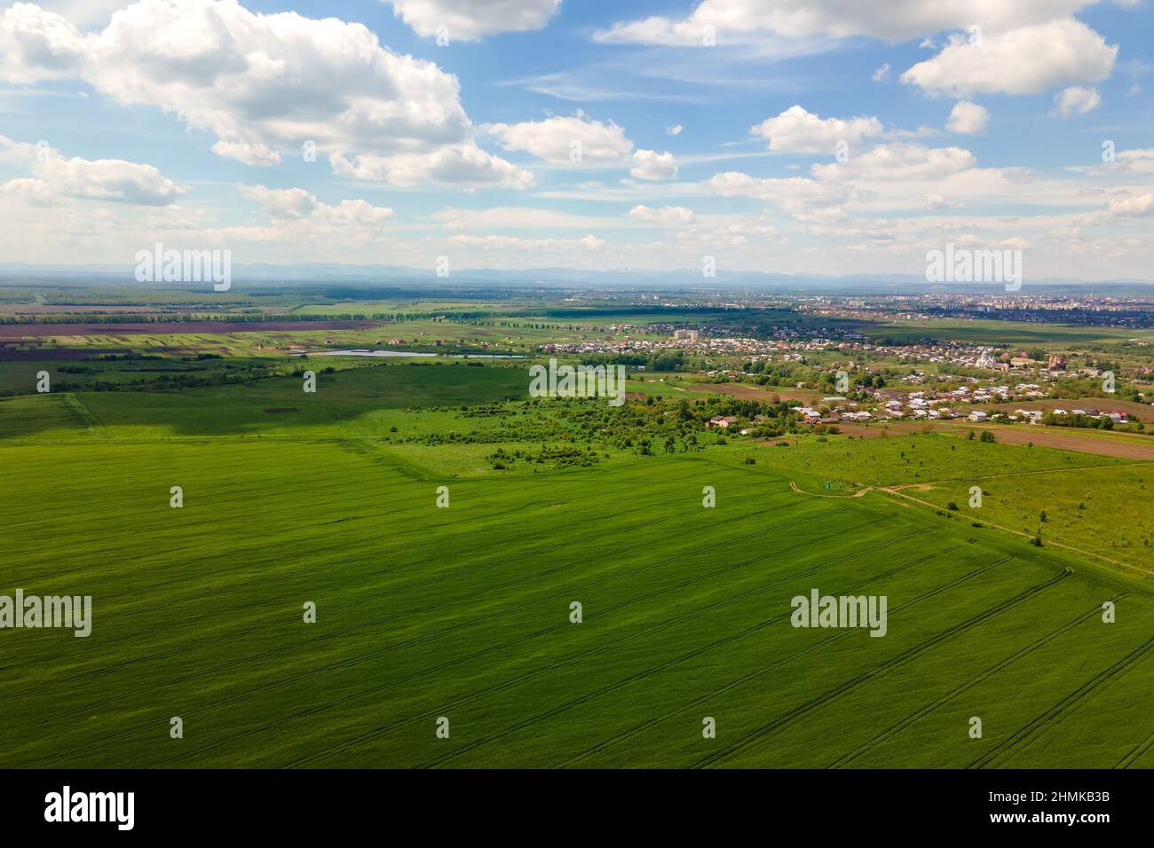 Aerial landscape view of green cultivated agricultural fields with ...