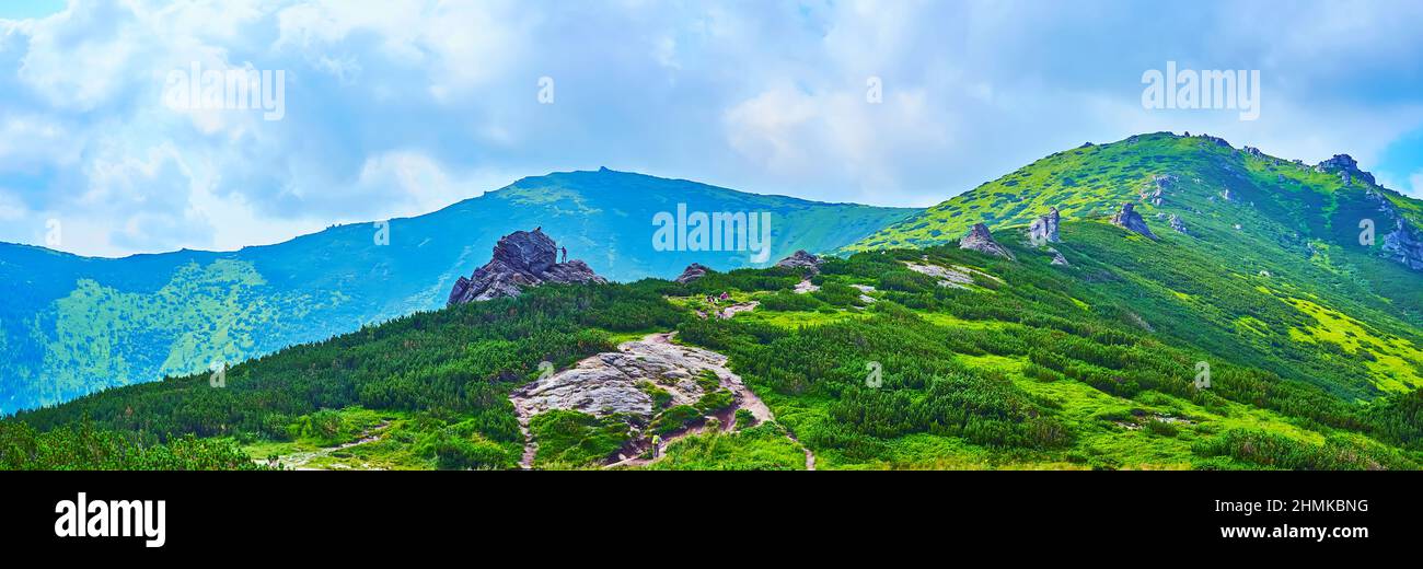 Panorama of Alpine Tundra of the Mount Eared Stone and Mount Smotrych in the background, Carpathians, Ukraine Stock Photo