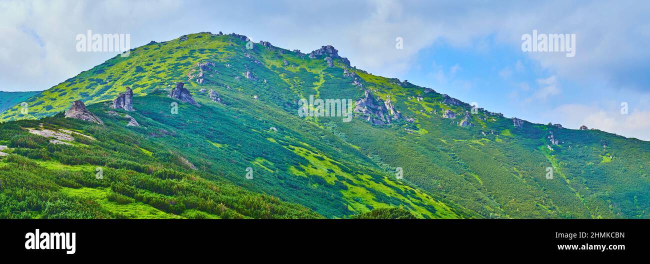 Panorama of the Mount Eared Stone with sharp rocks on its slope and vegetation of Alpine Tundra zone, Carpathians, Ukraine Stock Photo