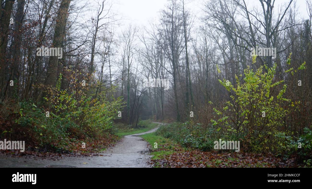 Cloudy and Foggy: Nightingale Valley in Essen Haarzopf, typical footpath in the South of Essen between the quarters. Stock Photo
