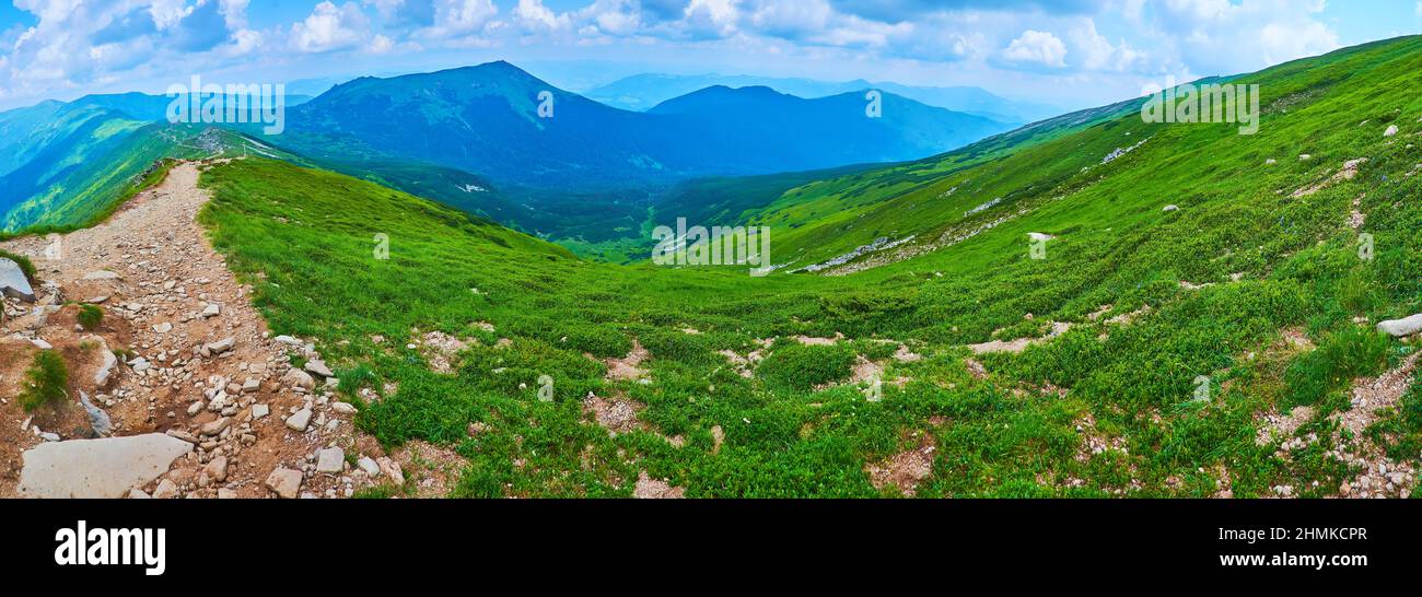 Panorama of the grentle green slope of the Mount Pip Ivan in front of the dark Mount Smotrych of Chornohora Mountain Range, Carpathians, Ukraine Stock Photo