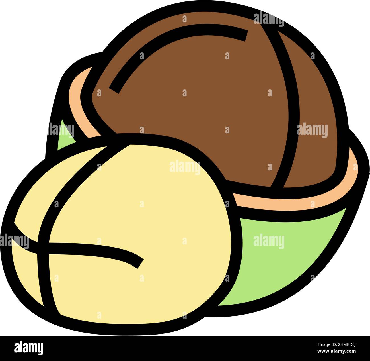 macadamia nut color icon vector illustration Stock Vector Image & Art