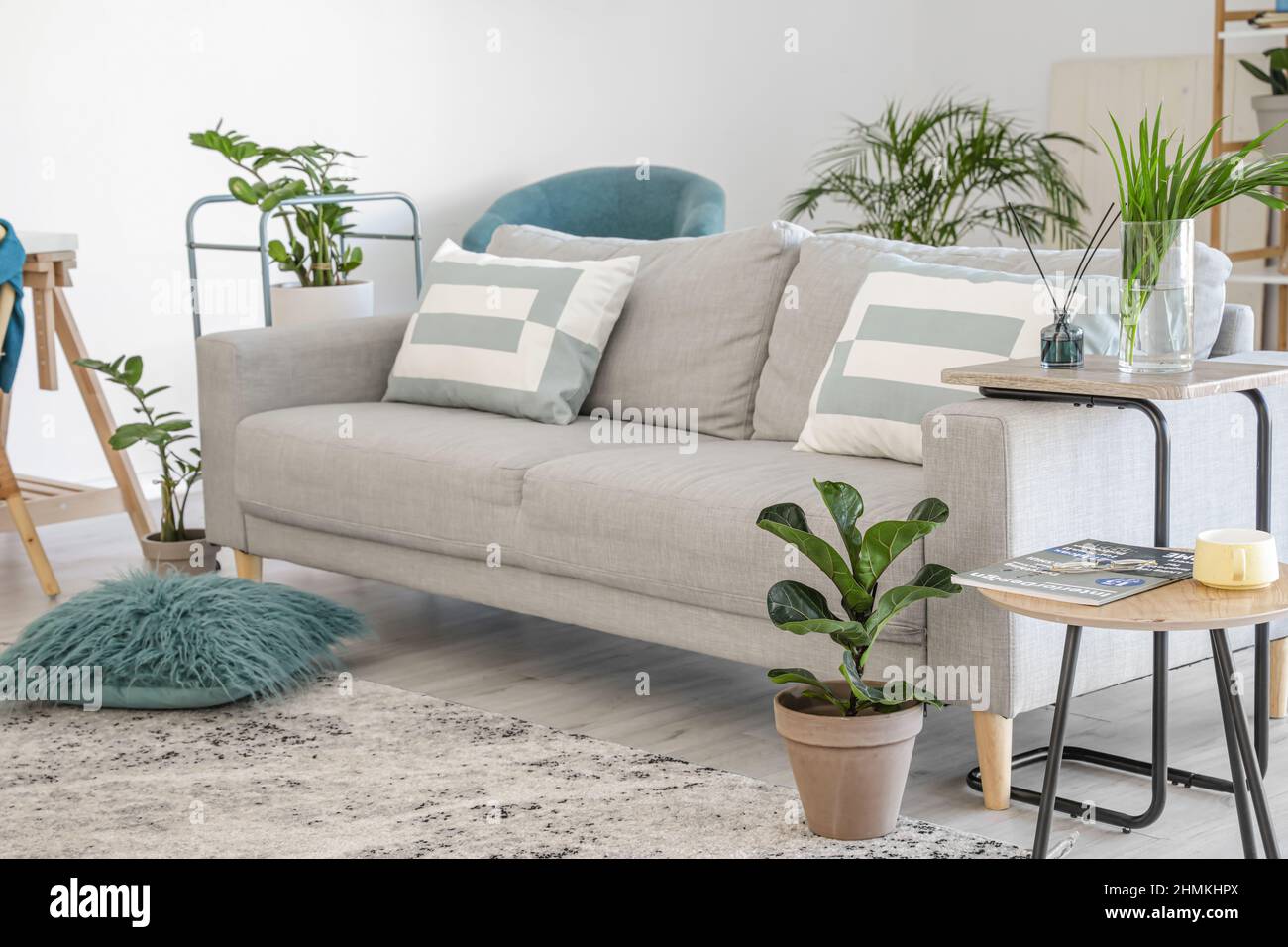 Stylish grey sofa with houseplants in modern interior of living room ...
