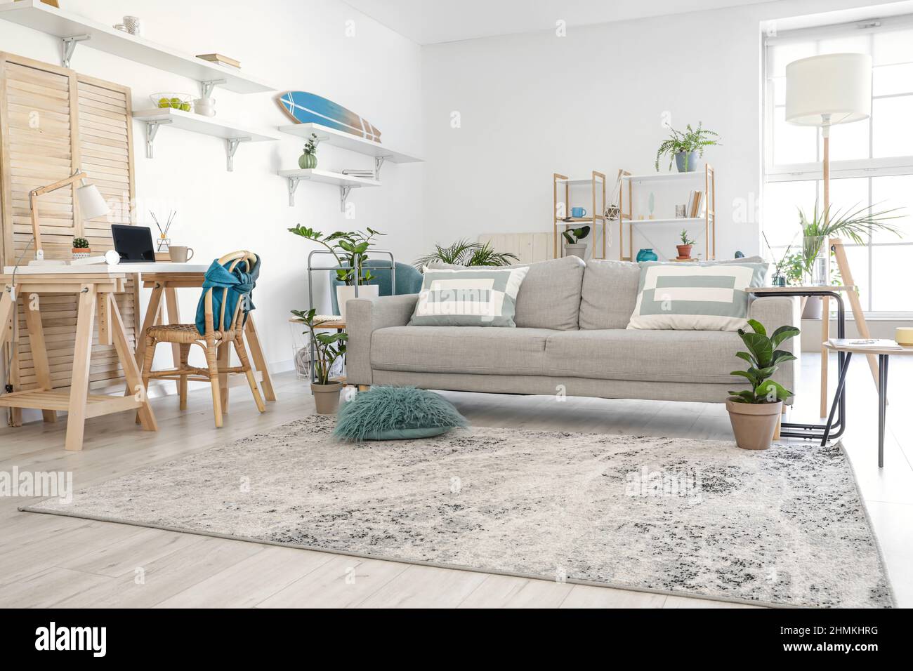 Stylish grey sofa in modern interior of living room Stock Photo - Alamy