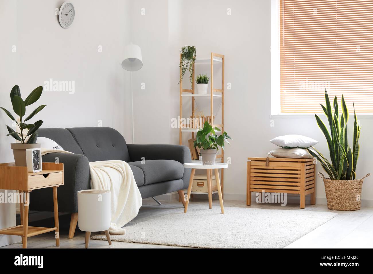 Interior of modern living room with houseplants and sofa Stock Photo ...