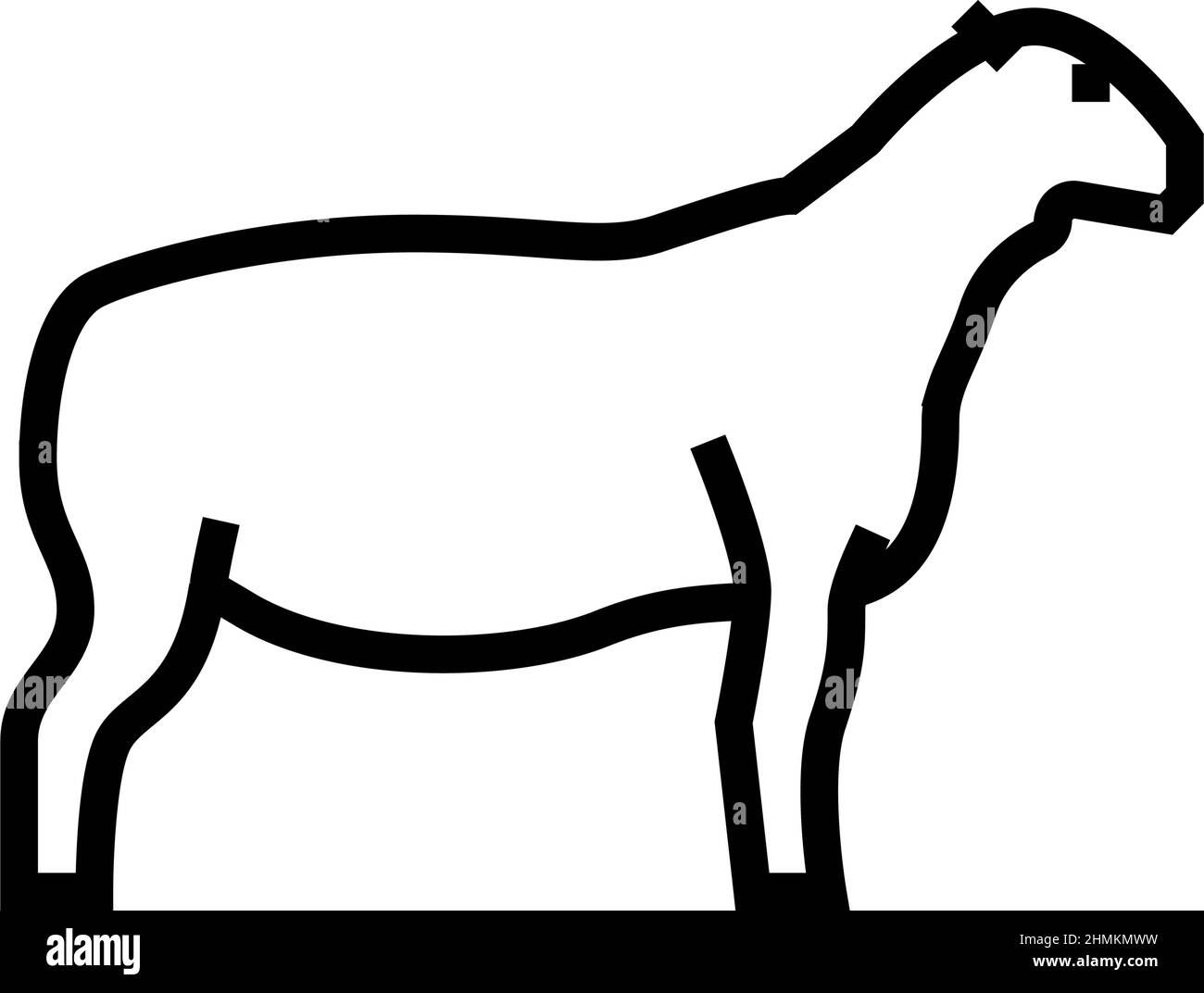 dorper sheep line icon vector illustration Stock Vector Image & Art - Alamy