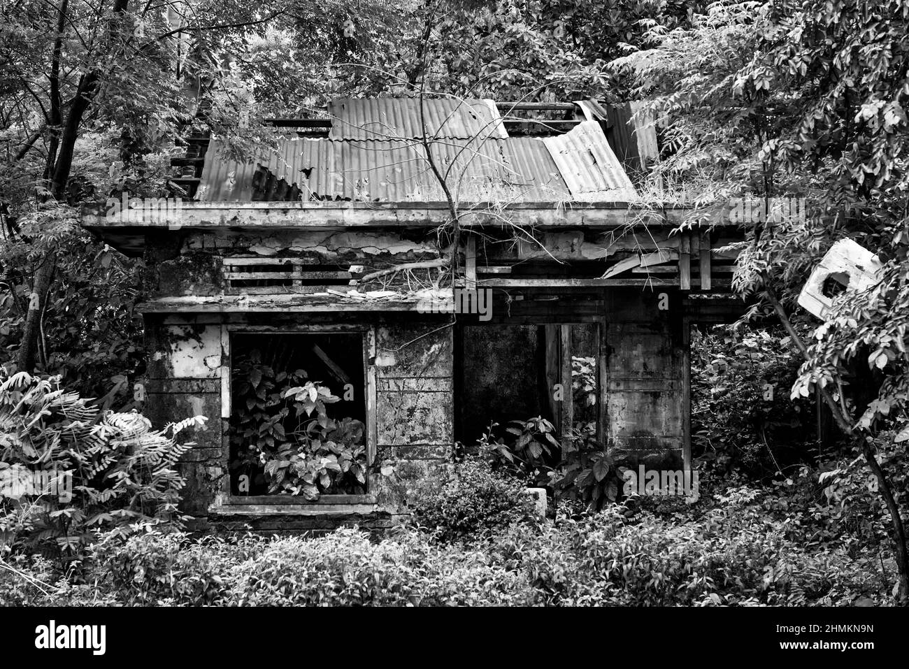 Remains of a house taken over by vegetation Stock Photo