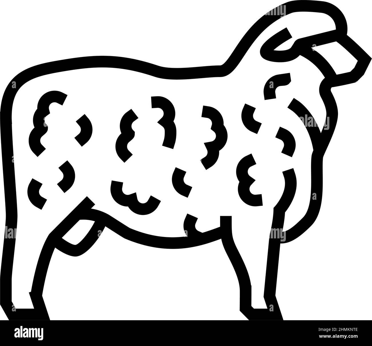 corriedale sheep line icon vector illustration Stock Vector Image & Art ...