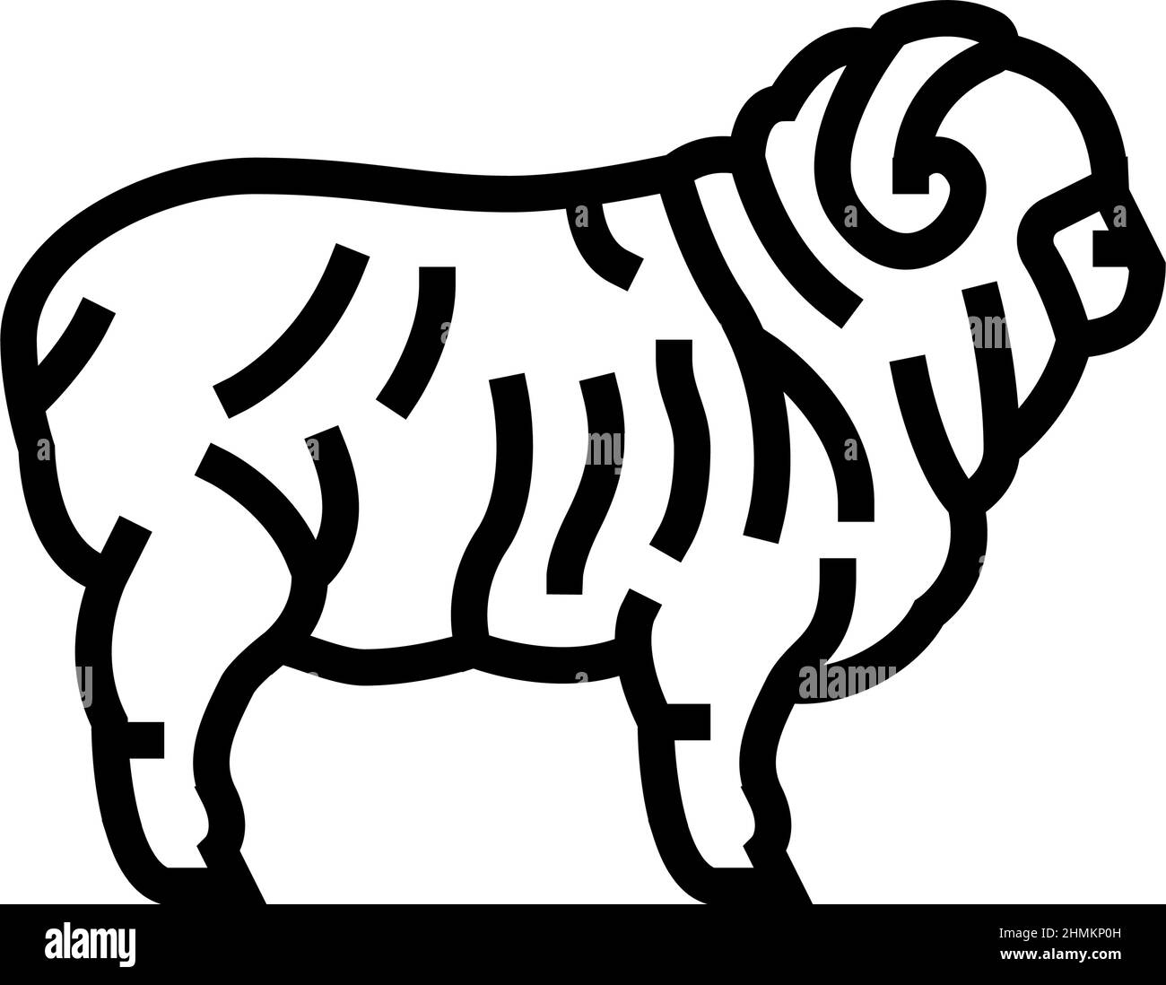 Sheep suffolk merino Black and White Stock Photos & Images - Alamy