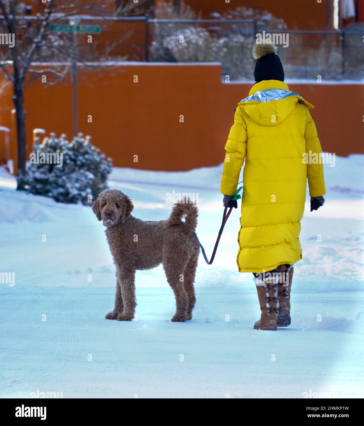 A woman walks her poodle after a snowstorm in Santa Fe, New Mexico. Stock Photo