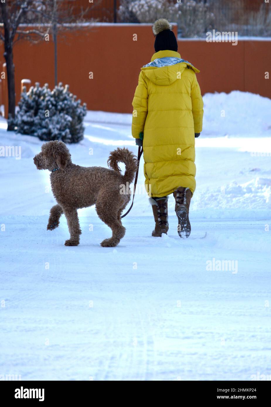 A woman walks her poodle after a snowstorm in Santa Fe, New Mexico. Stock Photo