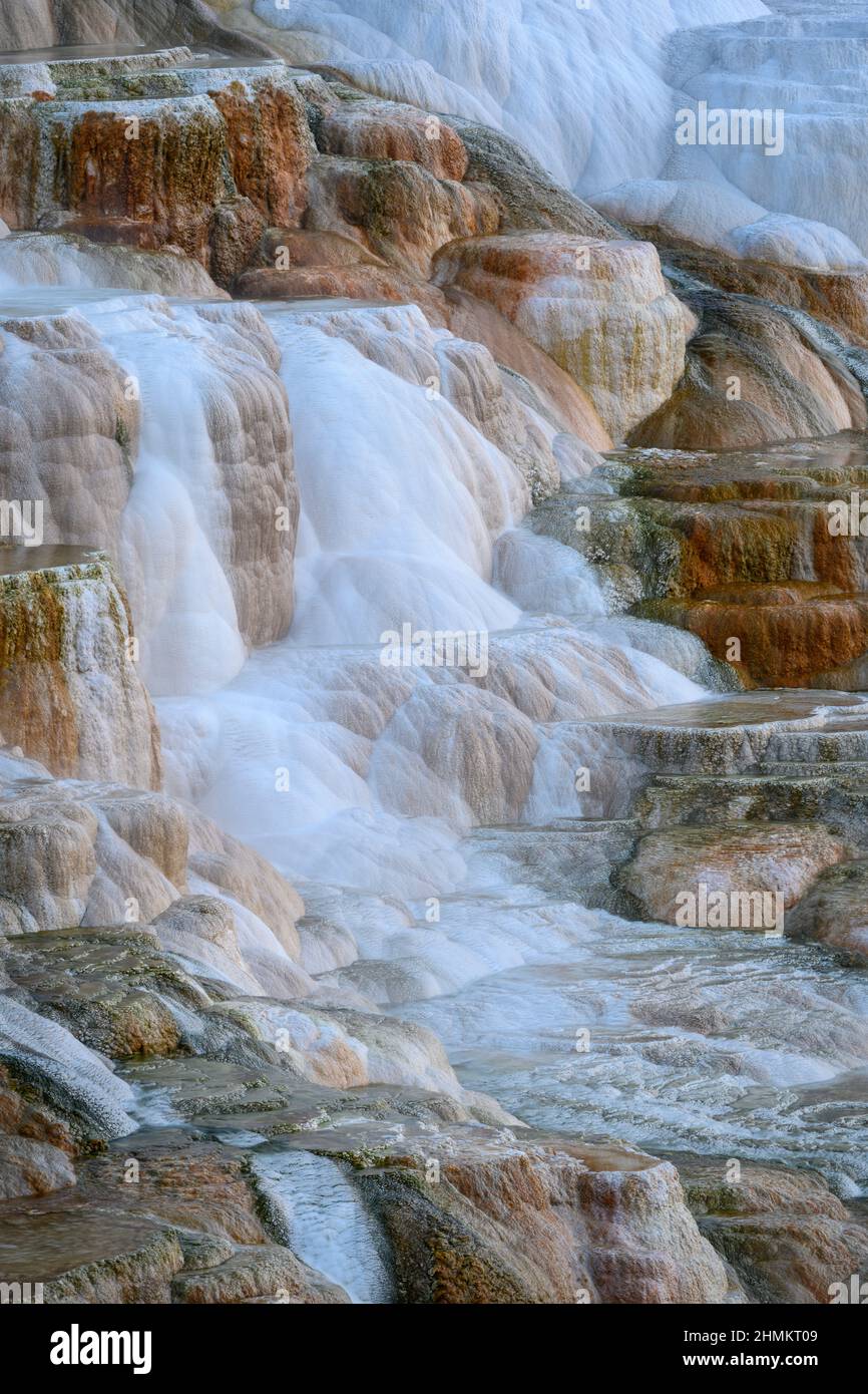 Travertine formations of Canary Spring at Upper Mammoth Terraces in Yellowstone National Park. Stock Photo