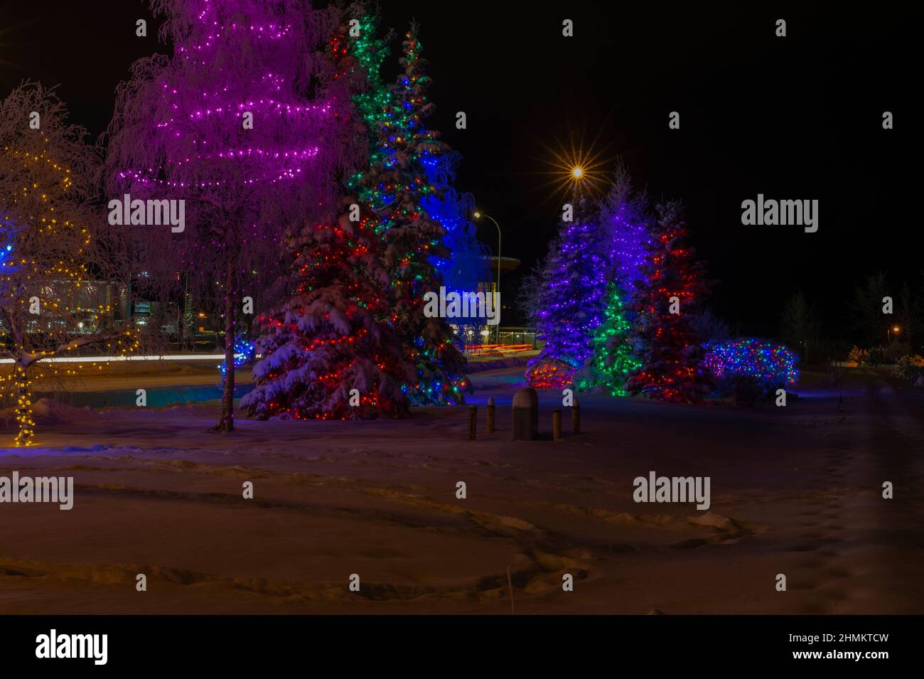 Christmas lights at Shipyards Park, Whitehorse, Yukon, Canada Stock