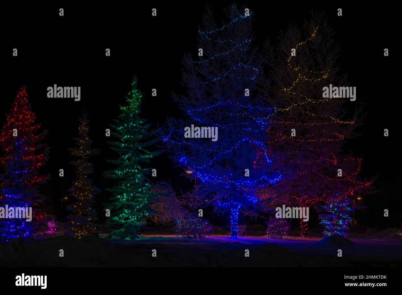 Christmas lights at Shipyards Park, Whitehorse, Yukon, Canada Stock