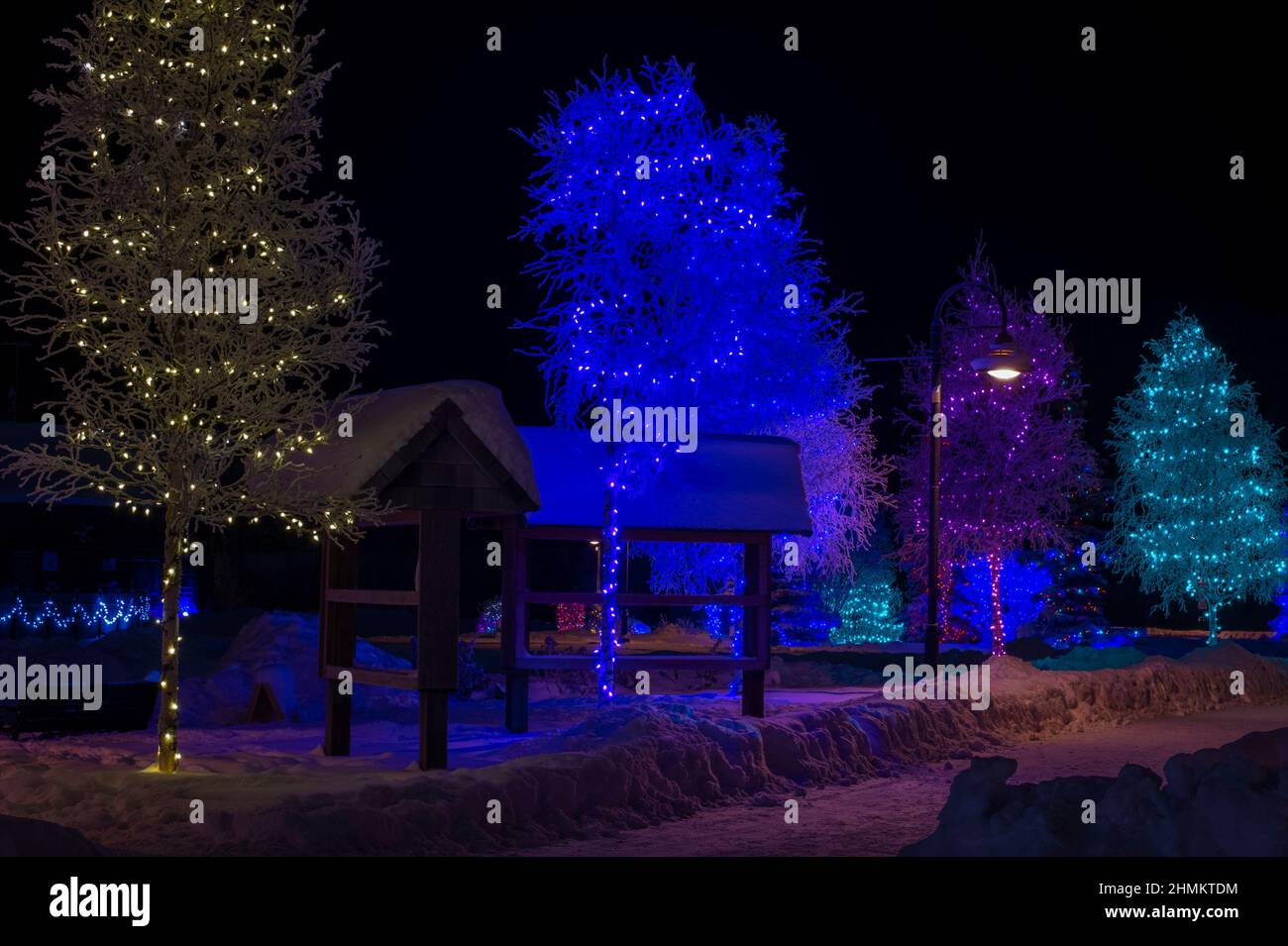 Yukon Christmas Lights 