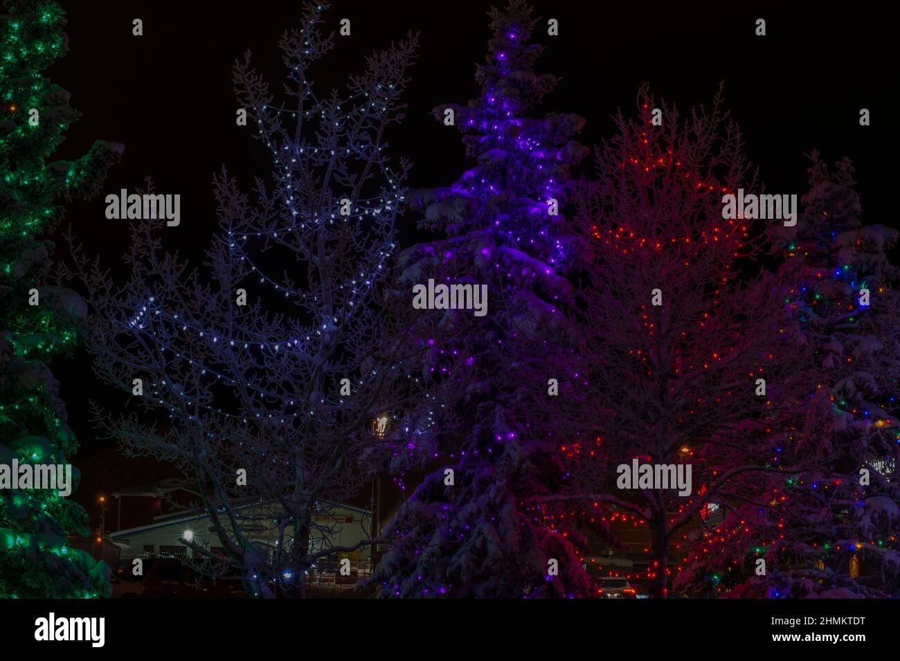 Christmas lights at Shipyards Park, Whitehorse, Yukon, Canada Stock