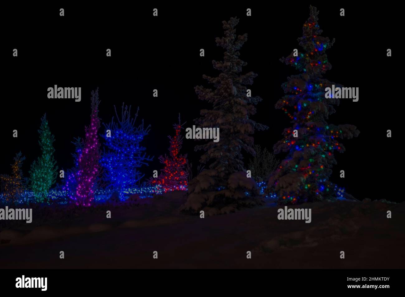 Christmas lights at Shipyards Park, Whitehorse, Yukon, Canada Stock