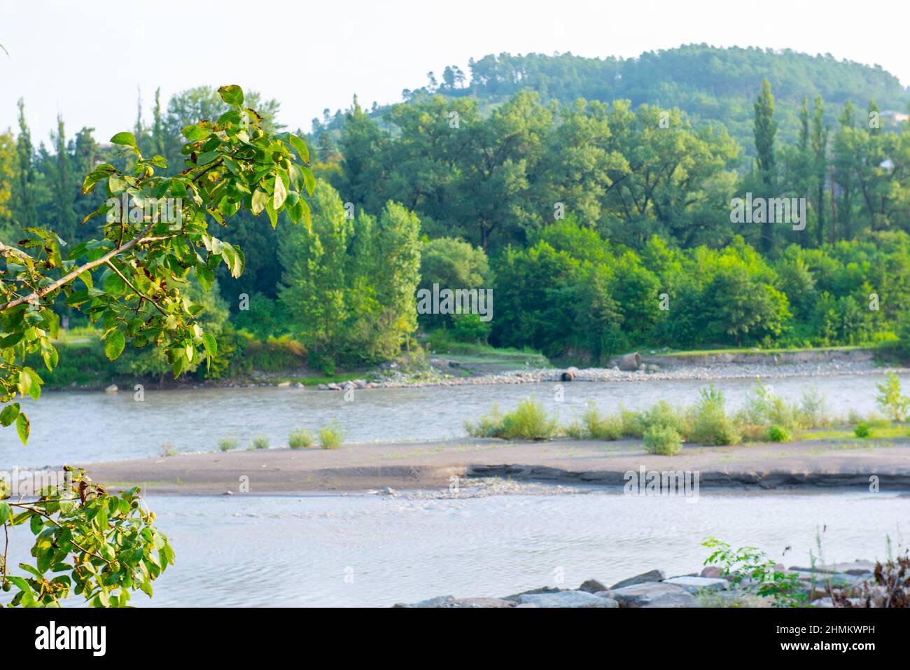 summer river landscape with trees in georgia Stock Photo - Alamy