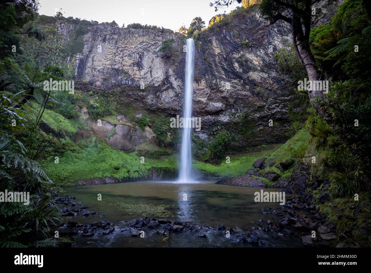 Mesmerizing scene of Waterfall Bridal veil falls Waikato in New Zealand