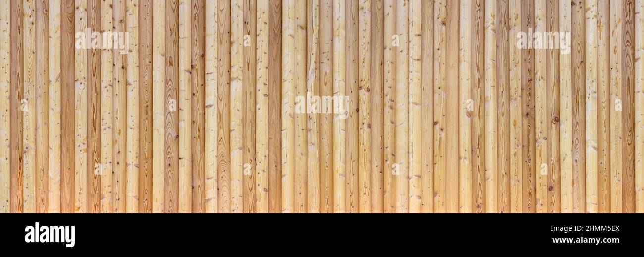 Light brown spruce wood panoramic wooden wall Stock Photo