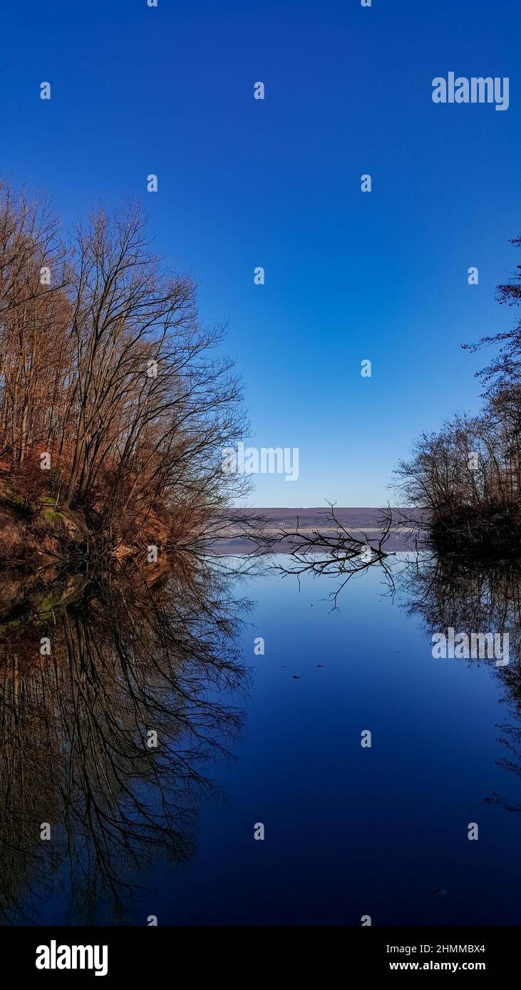 Vertical shot of scenic calm lake with trees under blue sky Stock Photo ...