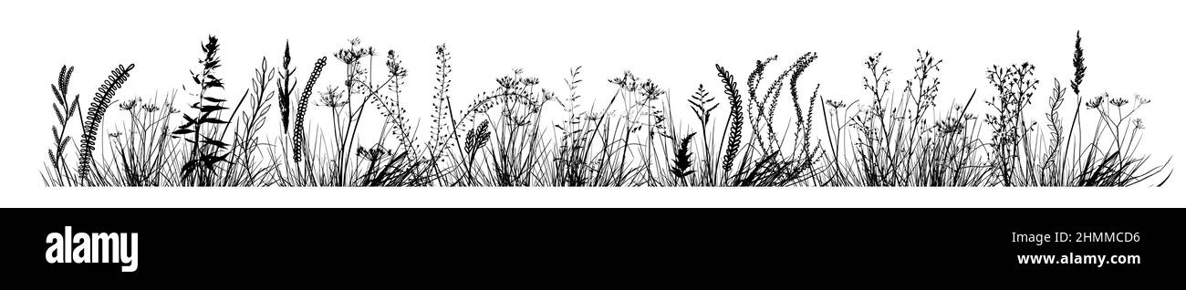 Black Silhouettes Of Grass Flowers And Herbs Isolated On White Background Hand Drawn Sketch 