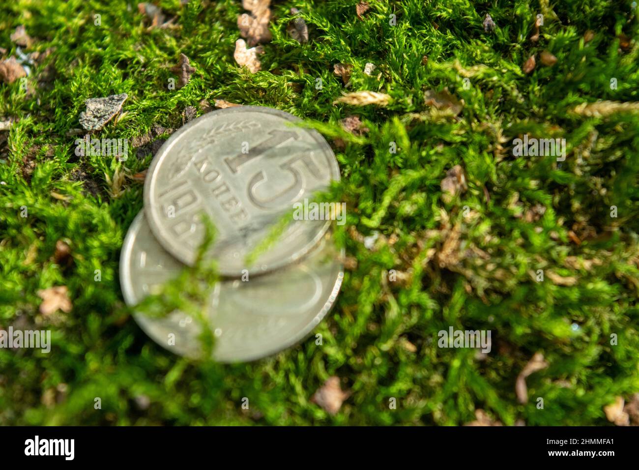 Old coins in the forest on green moss Stock Photo