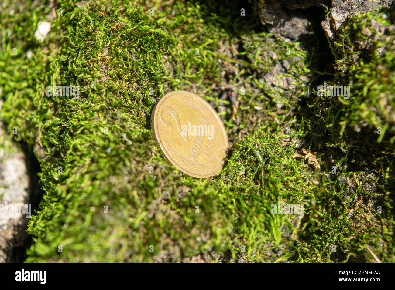 Old coins in the forest on green moss Stock Photo