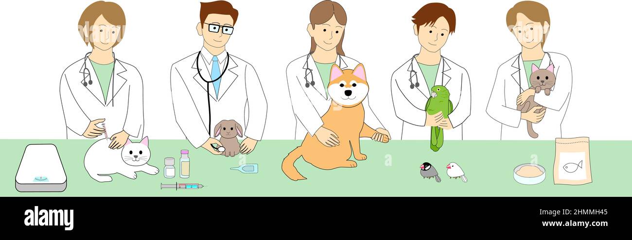 A group of veterinarians treating pets with copy space Stock Photo