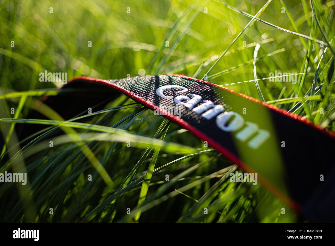Close-up of a Canon camera strap lying in the grass on a sunny day in the garden. Stock Photo