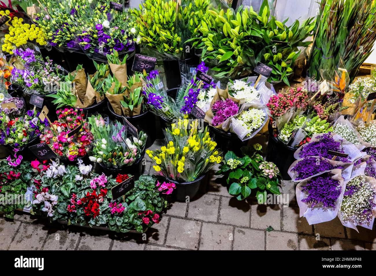 Tel Aviv, Israel February 05, 2022 Flowers in bloom sold in the