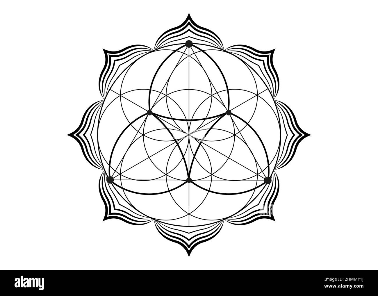 Seed Flower of life lotus icon, yantra mandala sacred geometry, tattoo symbol of harmony and balance. Mystical talisman, black lines vector isolated o Stock Vector