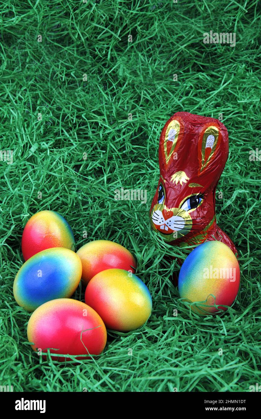 chocolate Easter bunny with brightly colored Easter eggs on grass Stock Photo