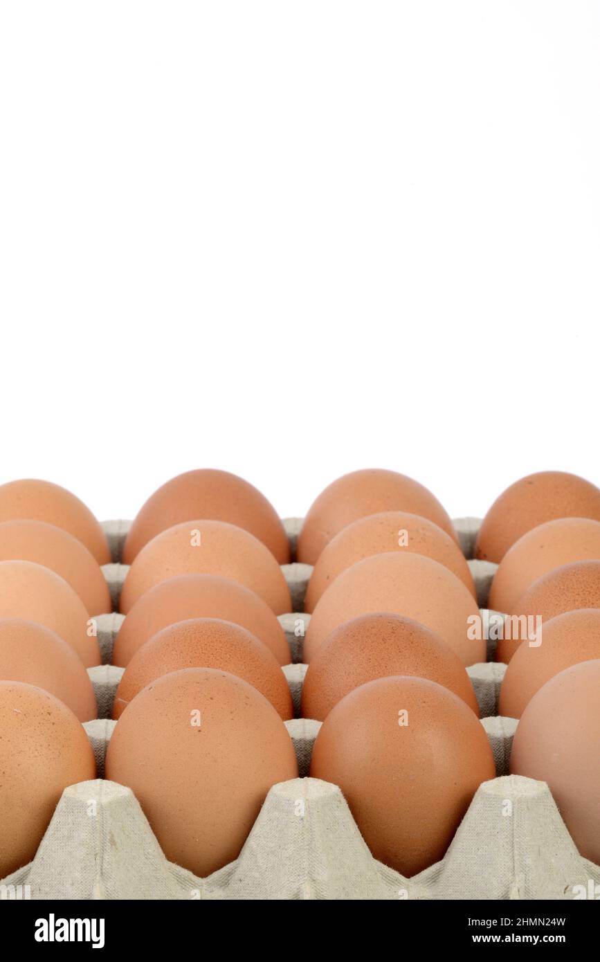 fresh brown eggs on an egg tray Stock Photo
